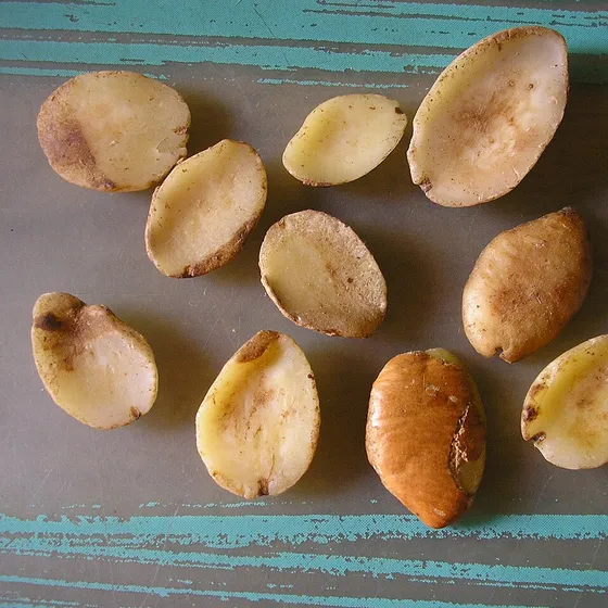 Mango africano, Irvingia gabonensis, componente de Esbelita